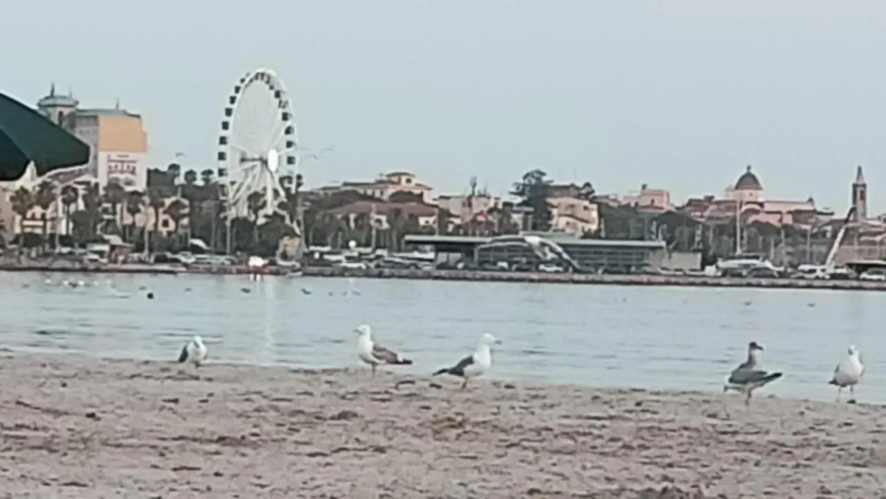 Le Peonie Guest House Alghero 0*,  Italien